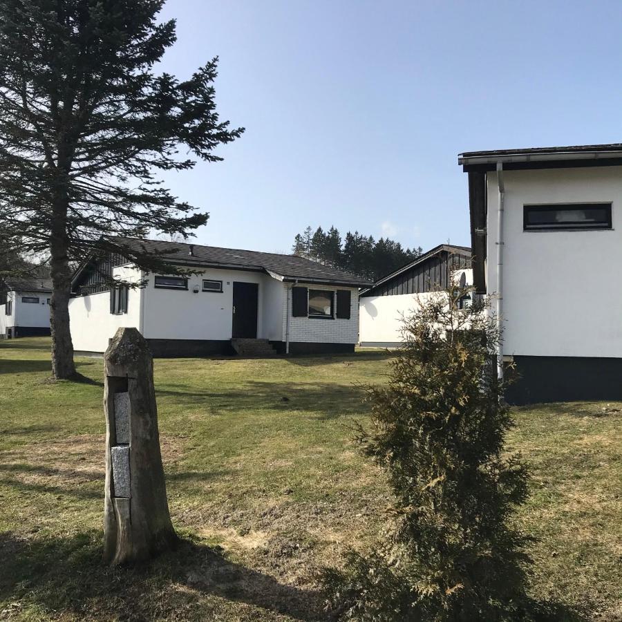 Ferienhaus Modernes Willingen